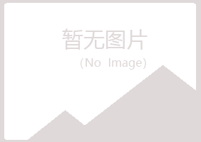 武山县夏岚服务有限公司